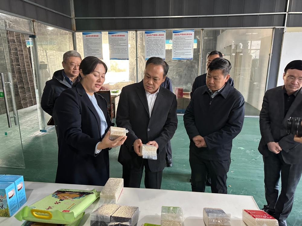 陈儒江赴潘集区宣讲党的二十届四中全会精神并调研经济社会发展情况